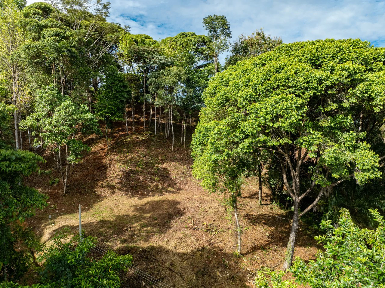 2.9 Acre Paradise with Diamante Valley Views Dominical - Gallery image 16