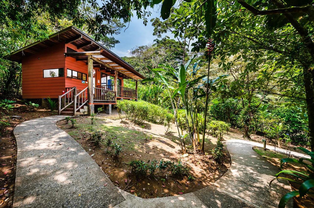 Casitas Tenorio B&B: Turnkey Eco-Lodge in Bijagua: Profitable Business, Sustainable Luxury, and Breathtaking Nature - Gallery image 44