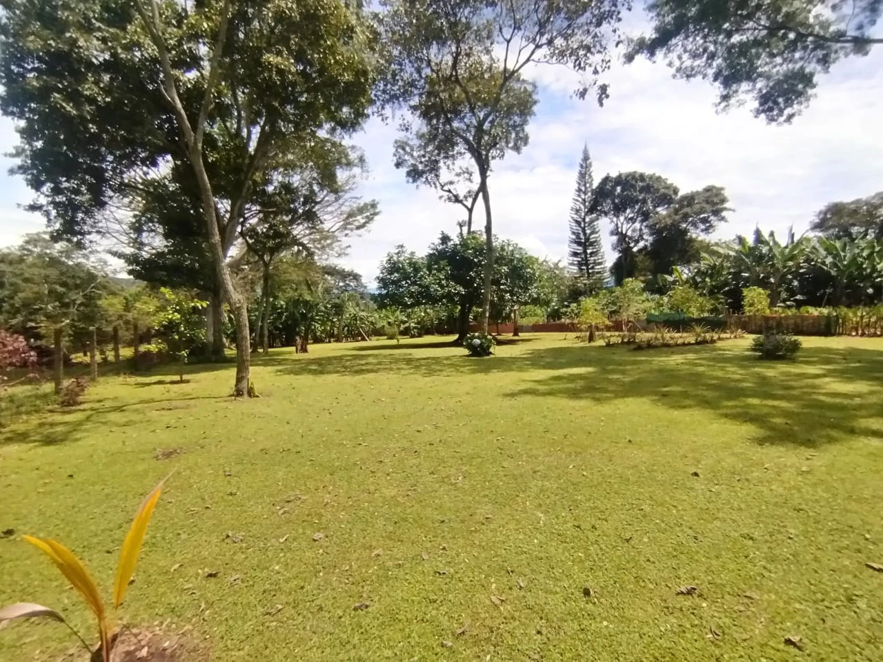 Natural Urban Escape: Home in the city with land!