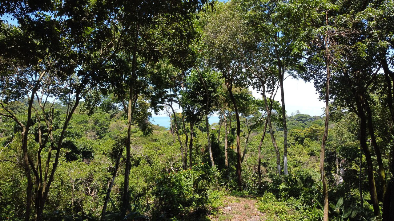 Ocean View Lot in Paradise Breezes, Hatillo - Ready to build - Gallery image 10
