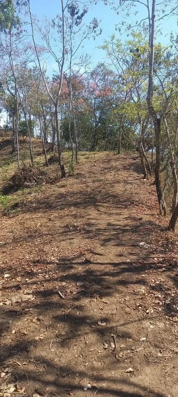 58 hectares: Ocean View Development Land for Sale in Tambor Costa Rica – 58 Hectares on the Nicoya Peninsula - Gallery image 6