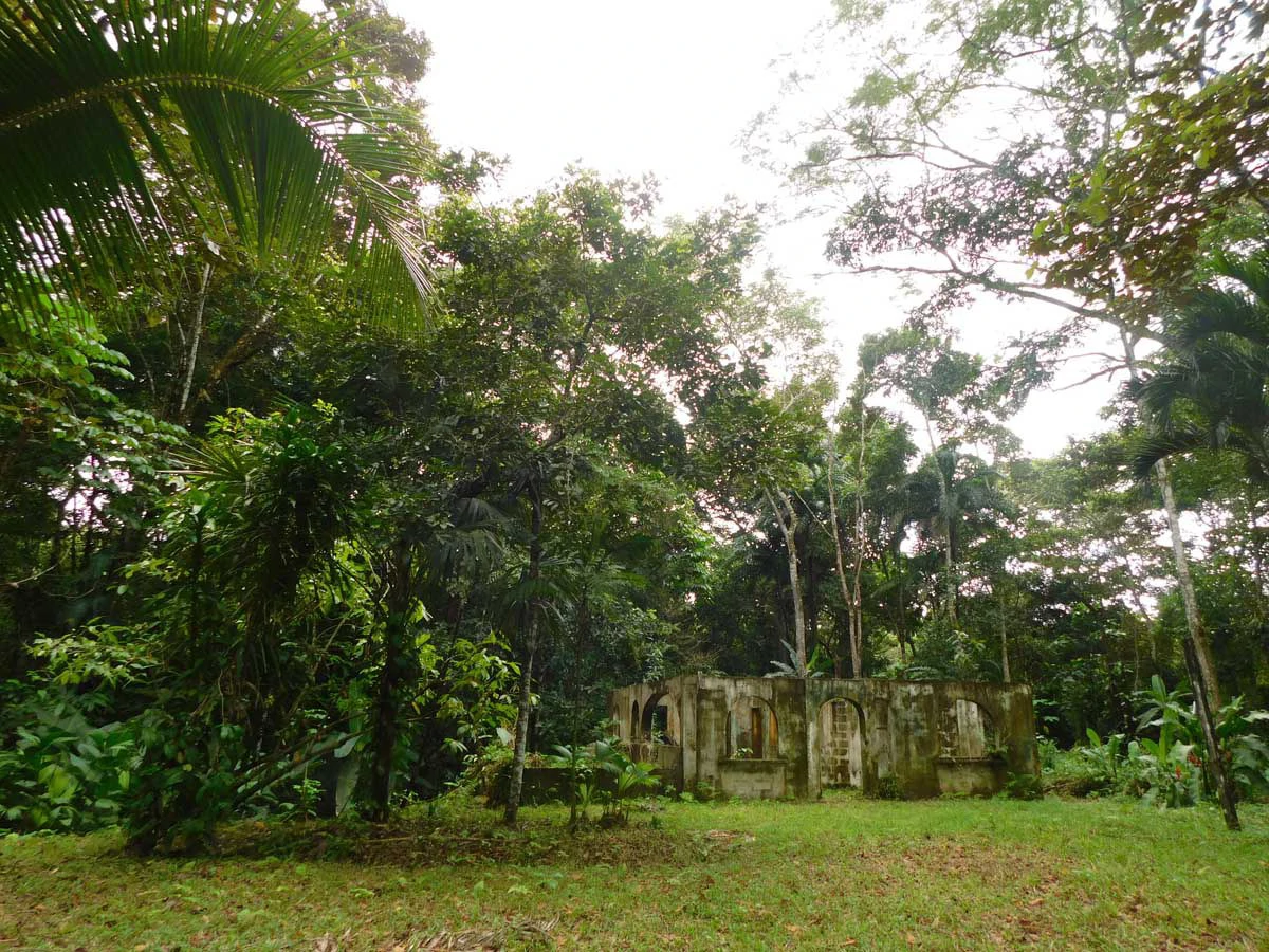 Green Centrally Located Paradise - Gallery image 3