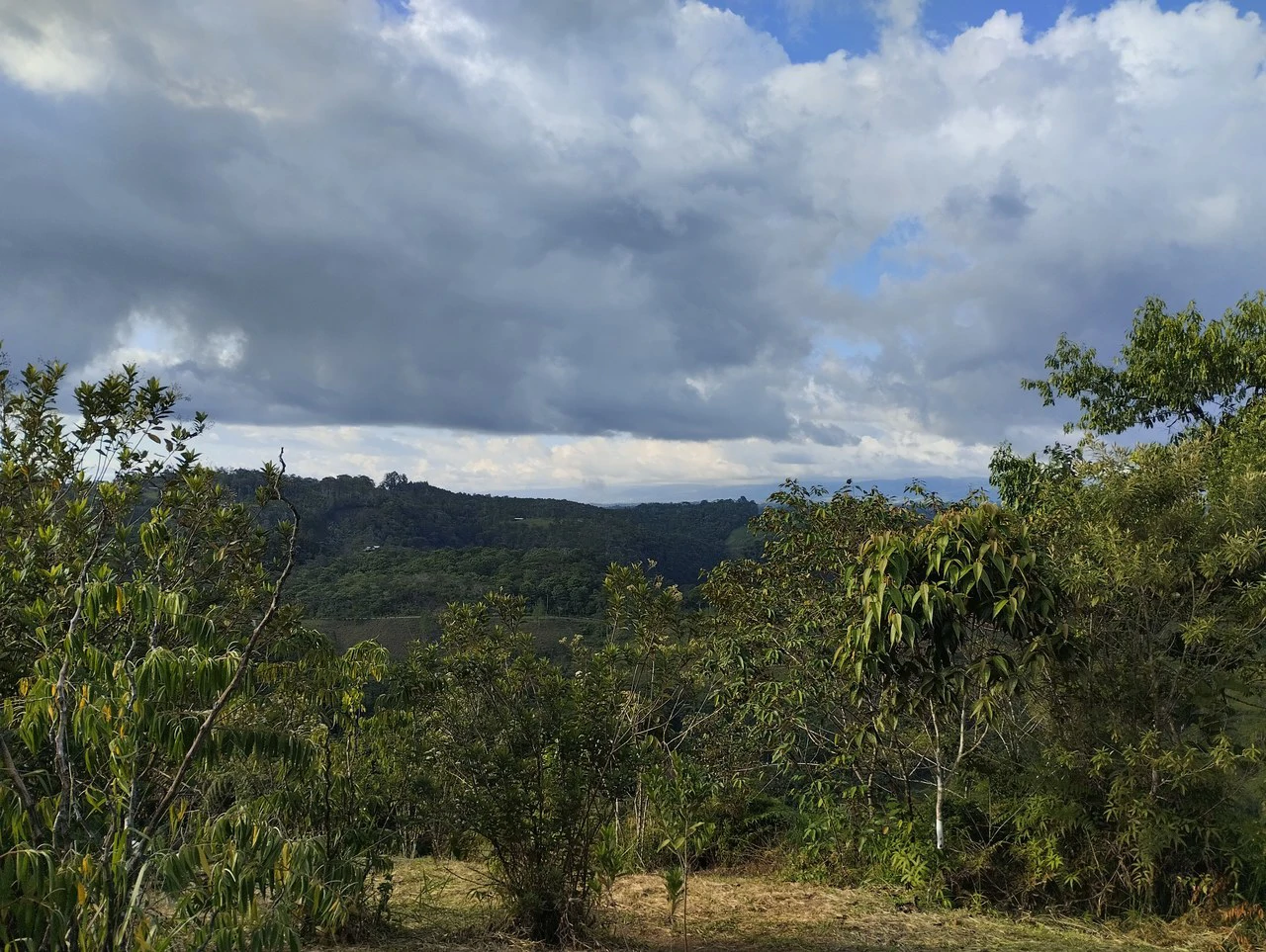 Charming Private Mountaintop home in the perfect climate of San Vito Coto Brus, San Isidro-Perez Zeledon, San Vito, San Jose, Costa Rica - Gallery image 6