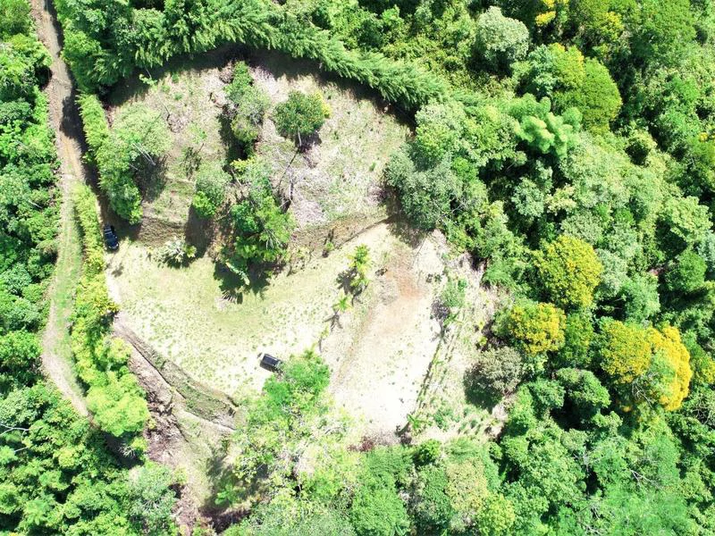 Captivating 3.15-Acre Property: Huge Pricedrop! Firesale Oceanview Lot in Tres Rios - Gallery image 5
