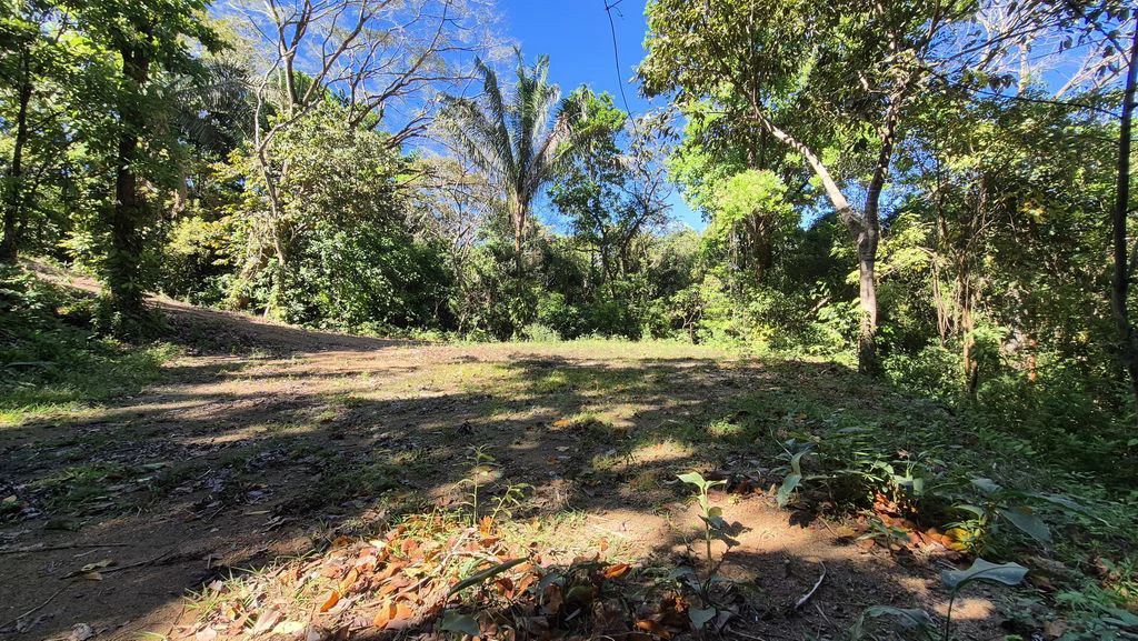 LOTE 29 SAMARA WOODS: New Price Drop ! Last Beautiful Lot With Jungle Views in quiet Samara Woods community – 5 minutes from Samara Samara - Samara Woods Exclusivity - Gallery image 4