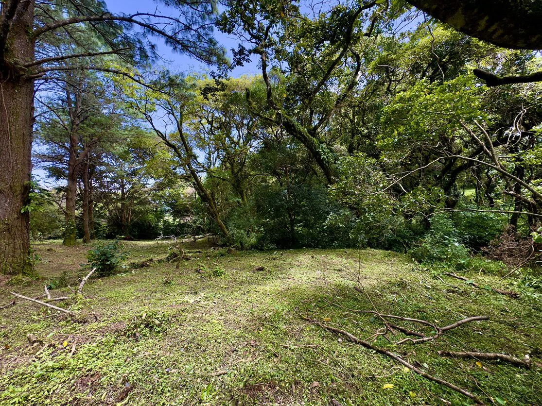 Live in harmony with nature in San Rafael de Heredia - Gallery image 8