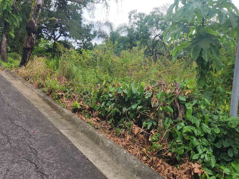 Subdividable lot in Manuel Antonio - Gallery image 5