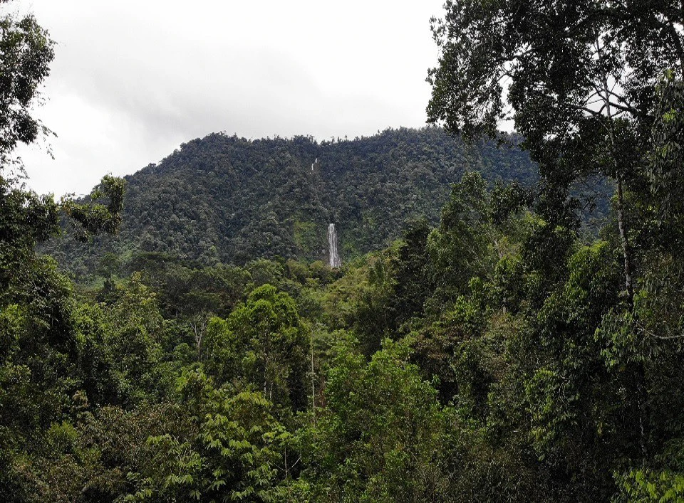 Costa Rican Retreat with Spectacular Waterfall Views - Gallery image 17