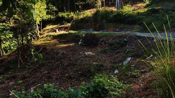 Near the Coast and Mountain Home Construction Site For Sale in Bahía Ballena - Gallery image 5