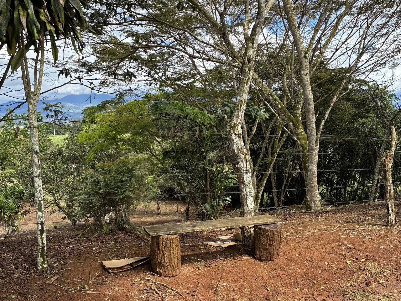Building Lot 2O minutes from San Isidro with Fruit Trees and Views - Gallery image 8