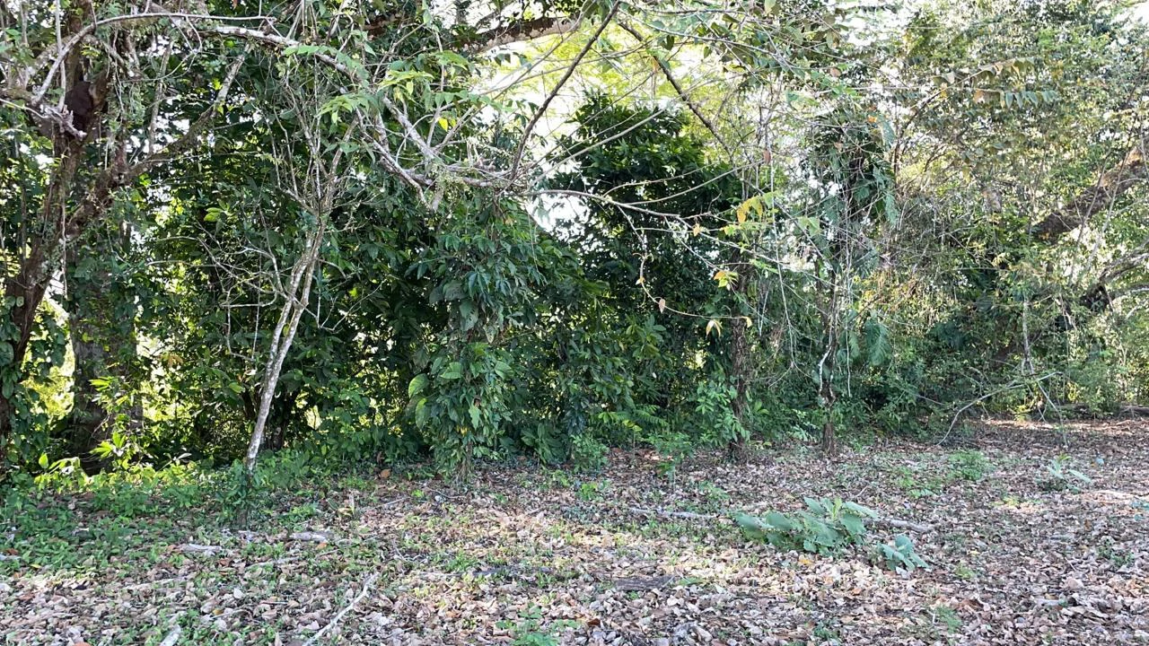 Development Property. Playa Herradura. Costa Rica - Gallery image 5