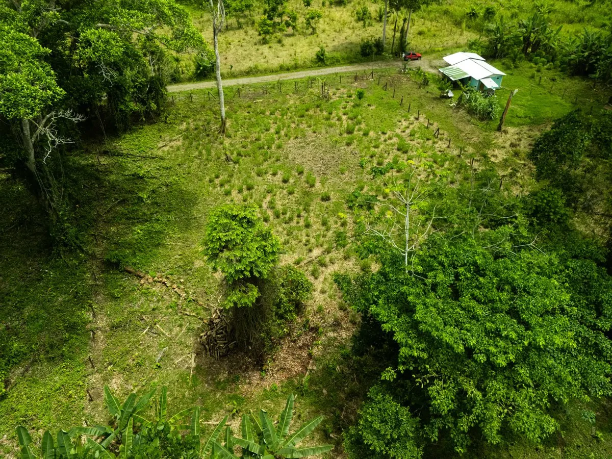 ID 1134: 3960m² Flat Development Lot Near Cahuita, Costa Rica - photo 10