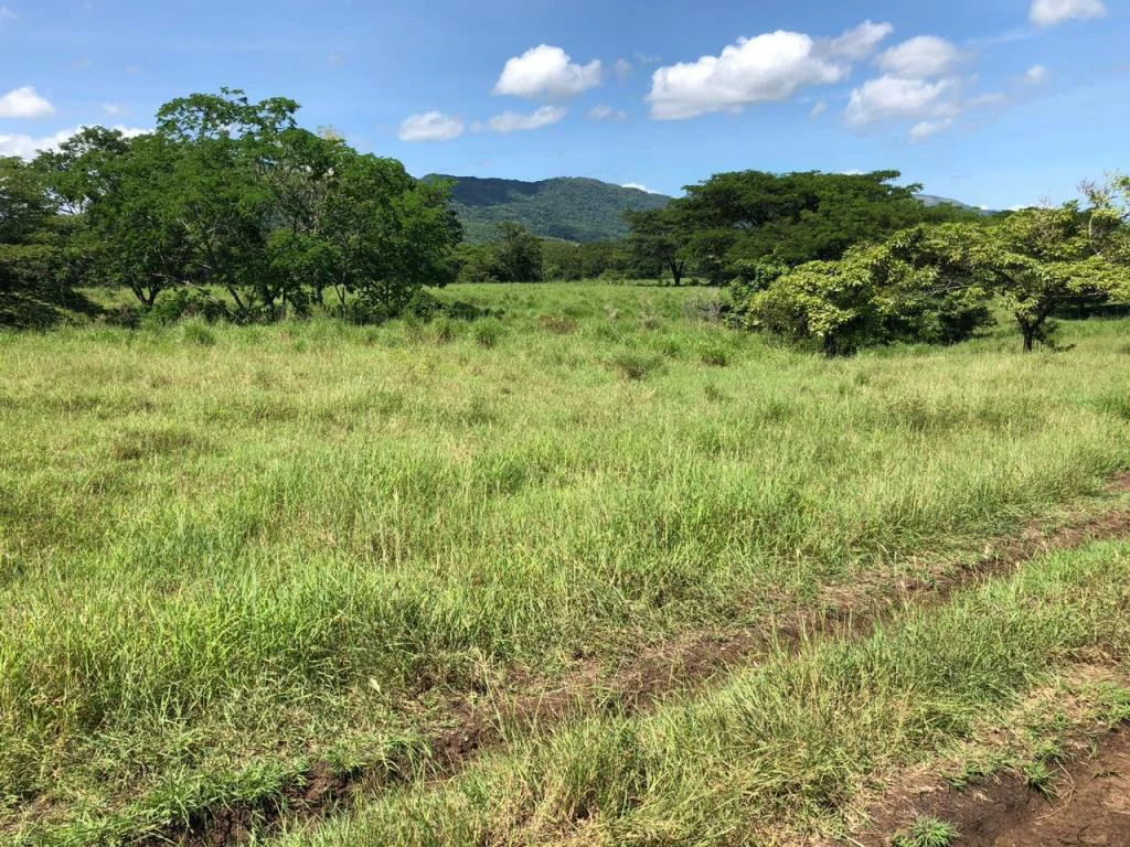 Huge dream Cattle farm for sale with 2 houses close to the Gulf of Nicoya, Guanacaste, Costa Rica - Gallery image 37