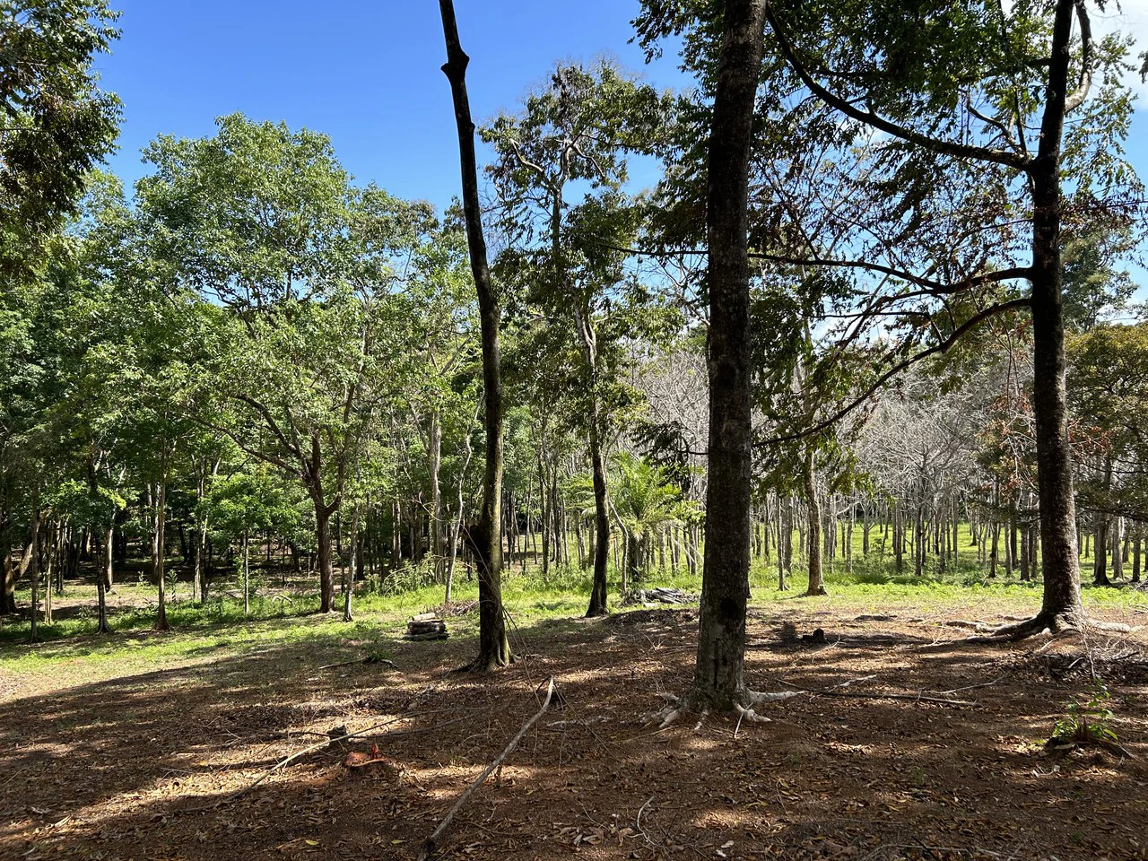 Cabo Matapalo:  3.8 Acre Ocean View Lot In Peninsula De Osa, Golfo Dulce - Gallery image 8