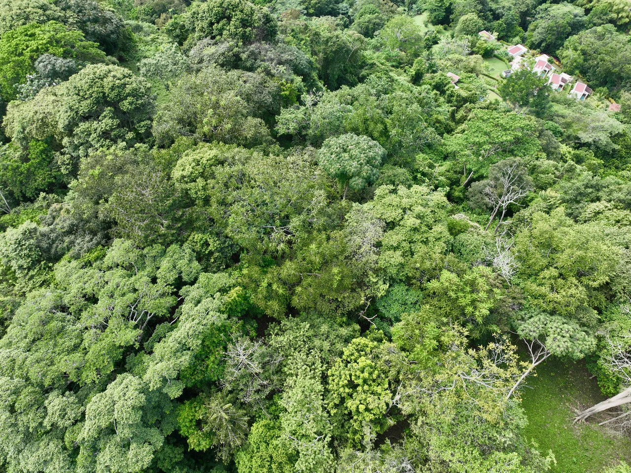 TROPICAL MASTERPIECE – 61.78 ACRES OF OCEANVIEW BLISS WITH WATERFALL: Mountain Development Parcel For Sale in Tres Rios - Gallery image 18