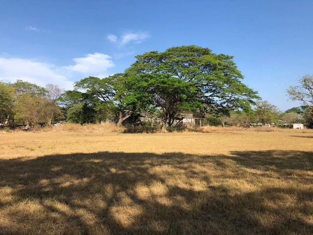 Large property with warehouses in Filadelfia, Carrillo - Gallery image 8