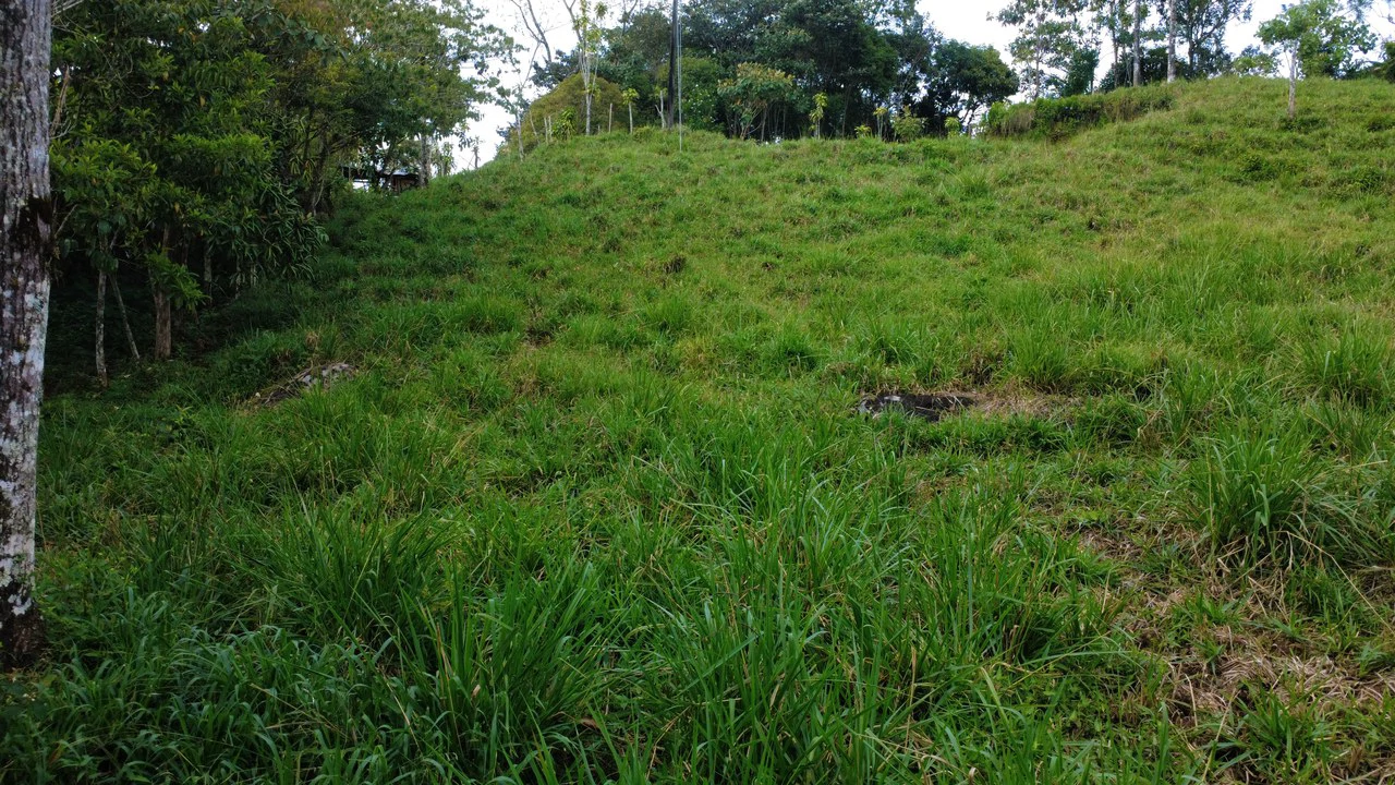 Home Construction Site For Sale in Centro de Pérez Zeledón - Gallery image 11