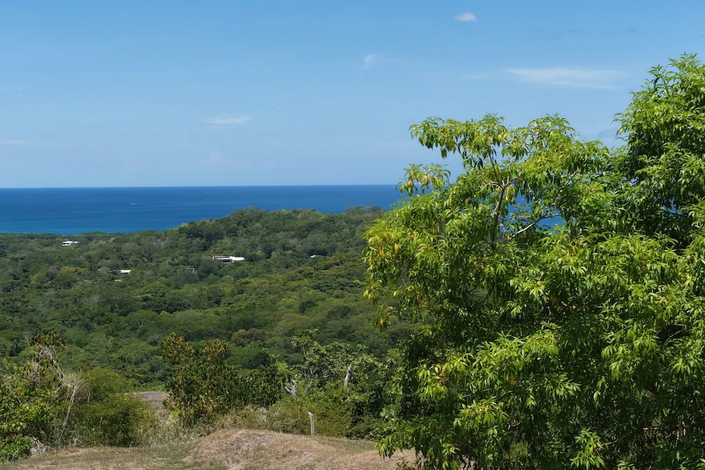 Lot #71: 2,250m2 San Pedro. Las Ventanas Community - photo 10