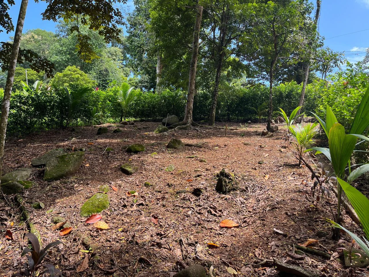 Turnkey Jungle lot in Downtown Uvita - Gallery image 6