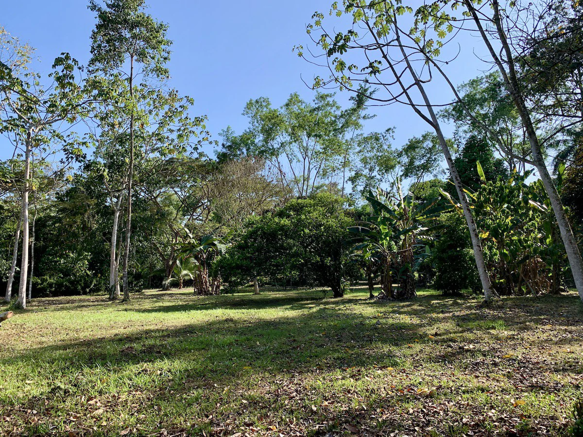 Beautiful Home and Property in Puerto Jiménez Osa Peninsula - Gallery image 23