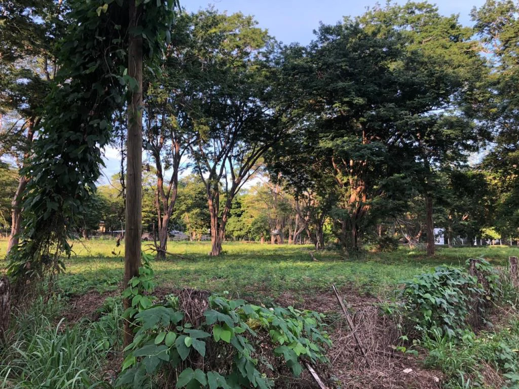 Large Commercial Property in Playa Hermosa, Guanacaste, Costa Rica - Gallery image 11