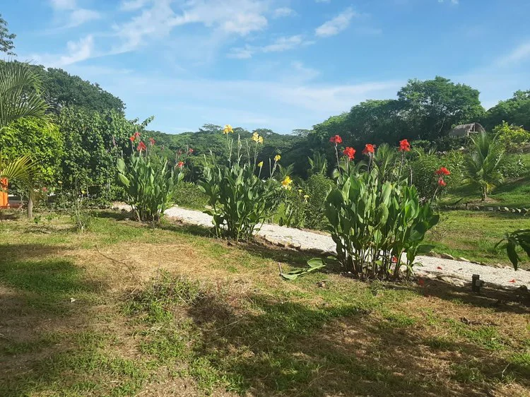 Organic Finca Eco Dreams: $799,000 USDOrganic Finca Eco Dreams – Sustainable Eco Farm for Sale Near Playa Naranjo, Costa Rica Luxury Self-Sustainable Farm, Solar-Powered Estate & Investment Property o - Gallery image 35