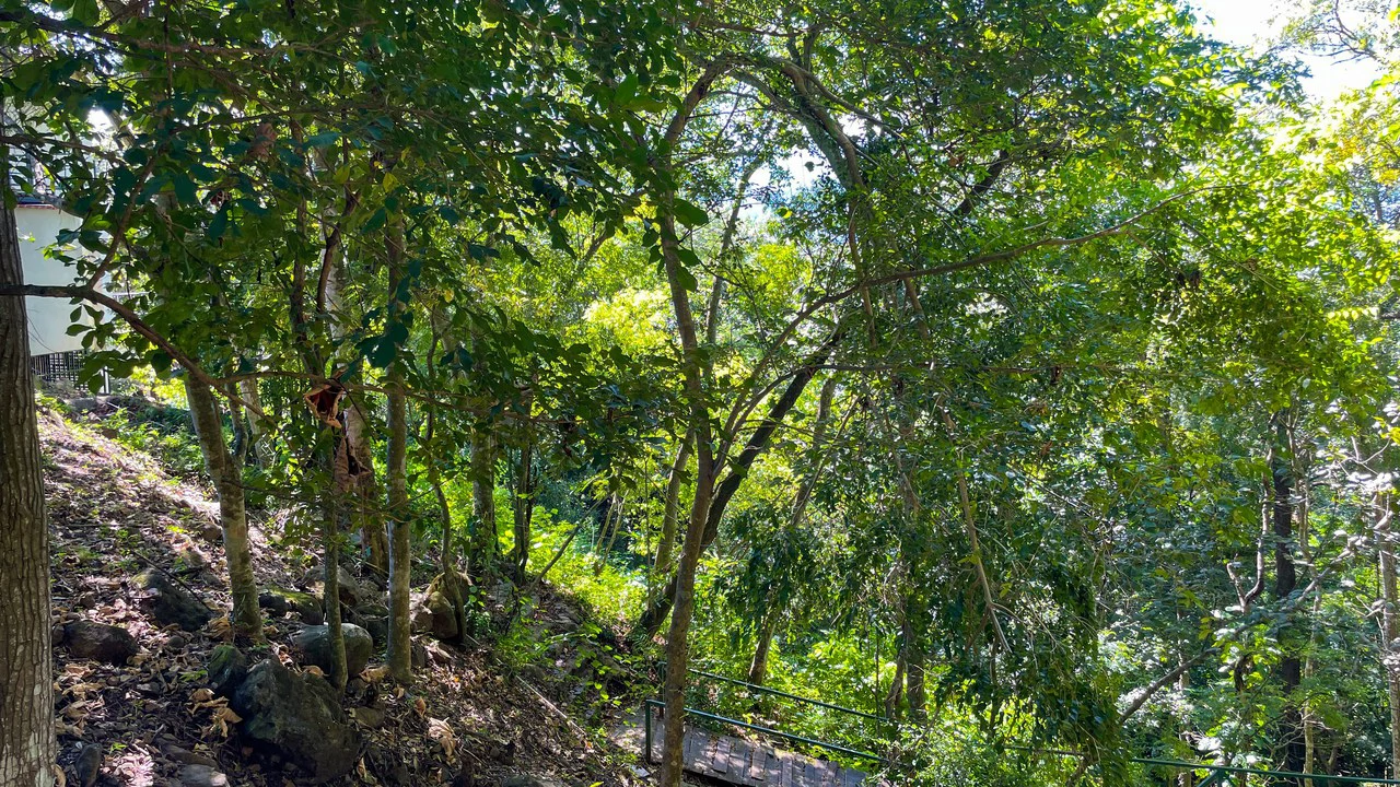 Lot for Sale in Escobal, Atenas- gravel road - Gallery image 3
