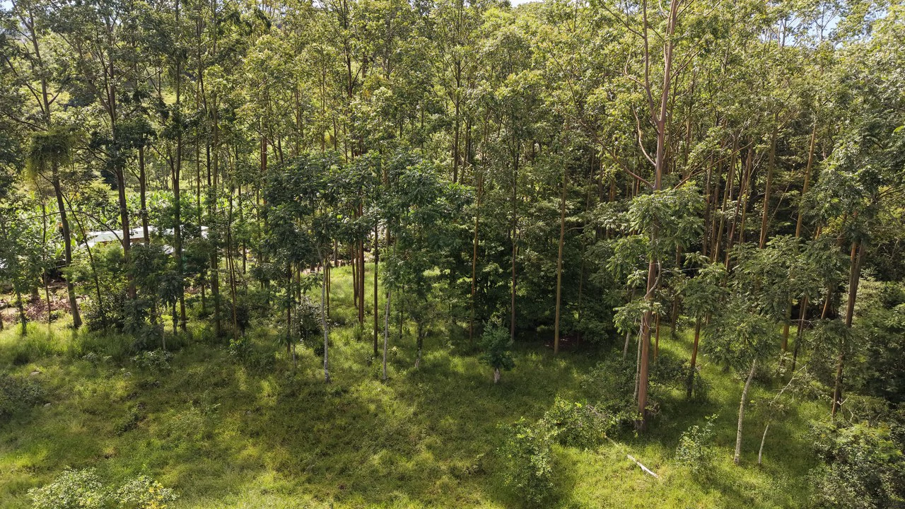 Mountain Home Construction Site For Sale in San Isidro del General - photo 8