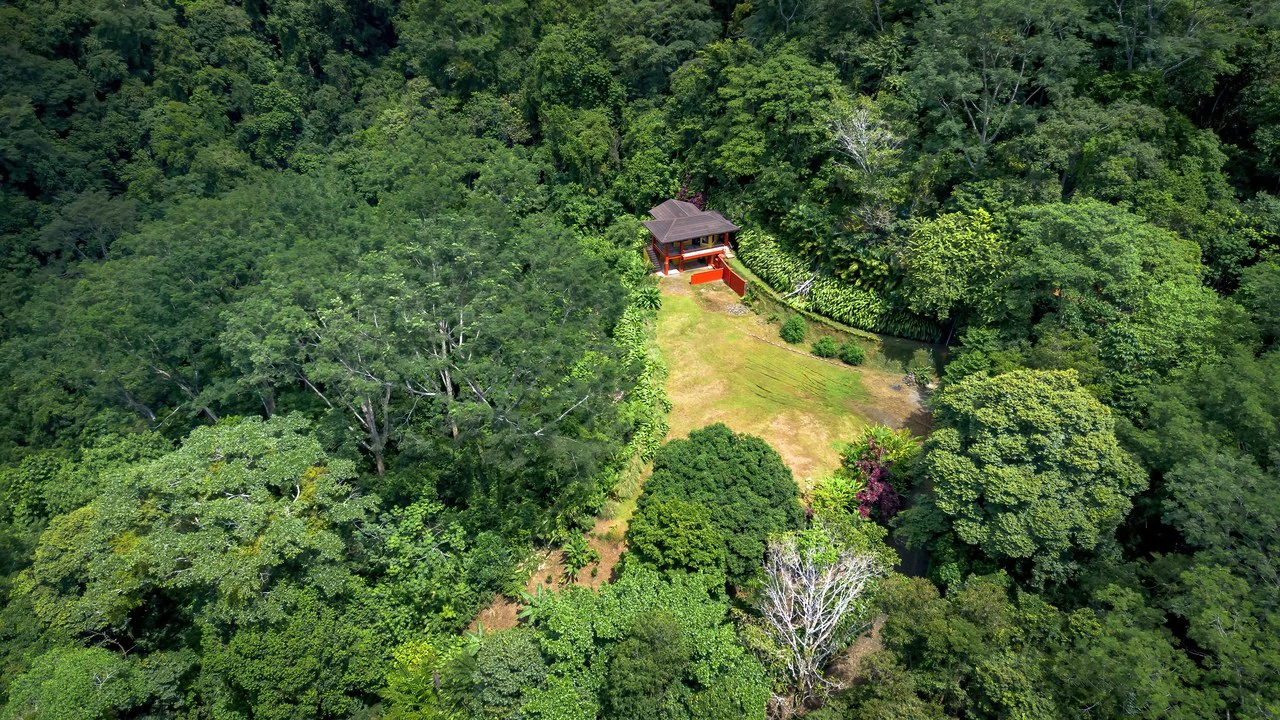 Build-Ready Ocean View Land with Guest House & Fruit Orchard | Tres Rios, Costa Rica - Gallery image 18