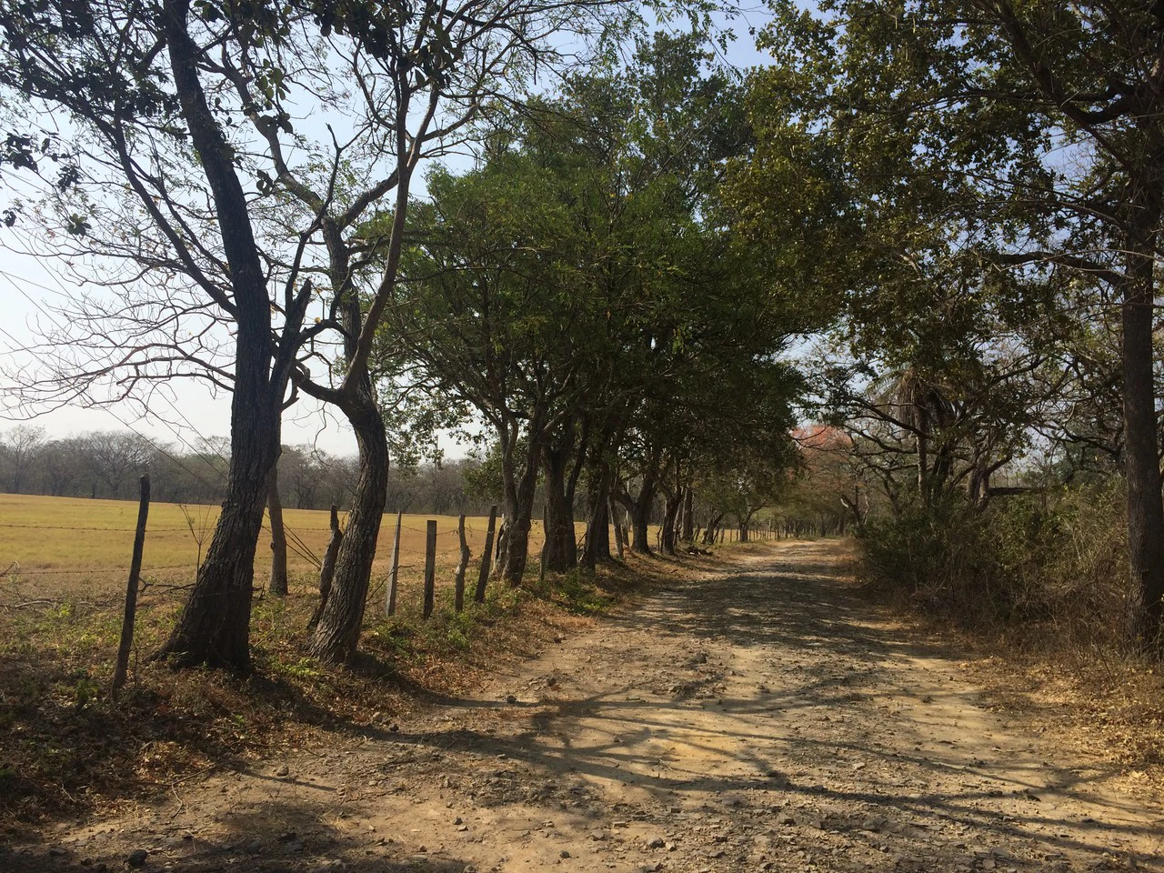 Lotes desde los 5 mil metros en Liberia Centro: Development Parcel For Sale in Liberia - Gallery image 7