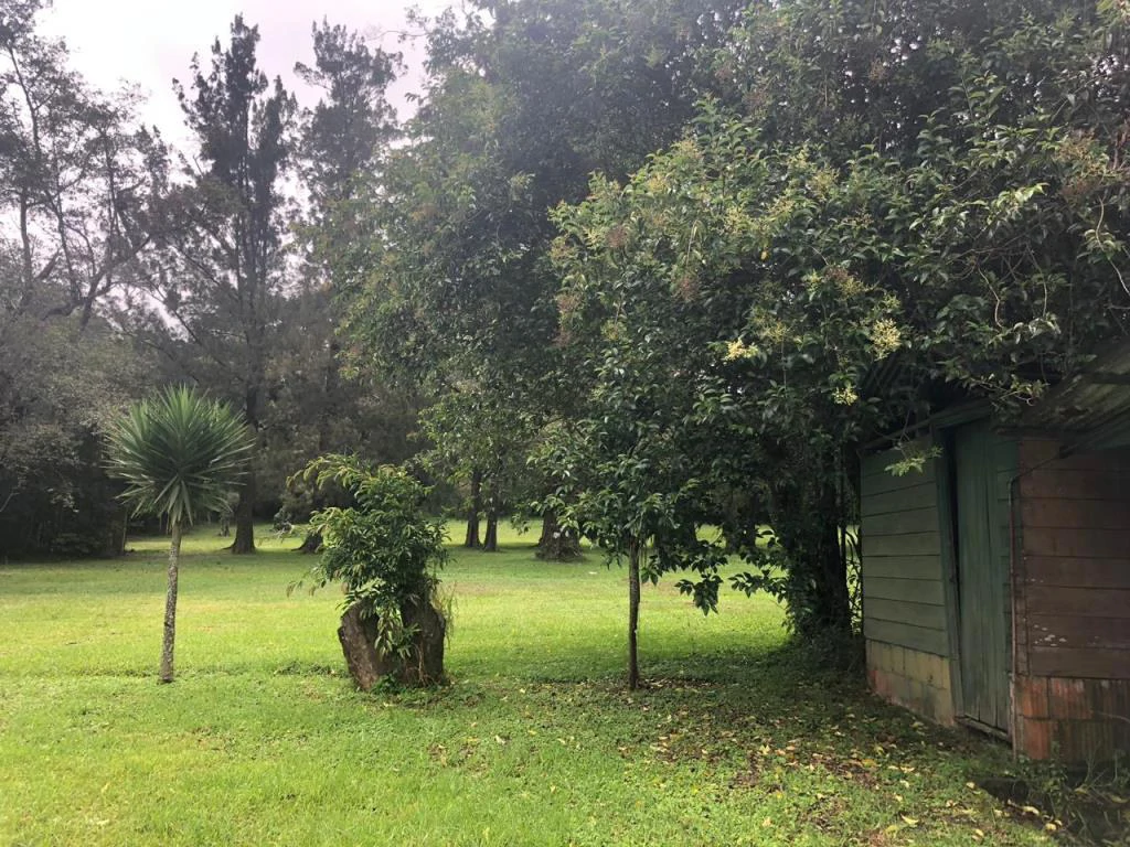 Horse ranch mountain farmland with its own stable's in San Rafael, Heredia - Gallery image 16