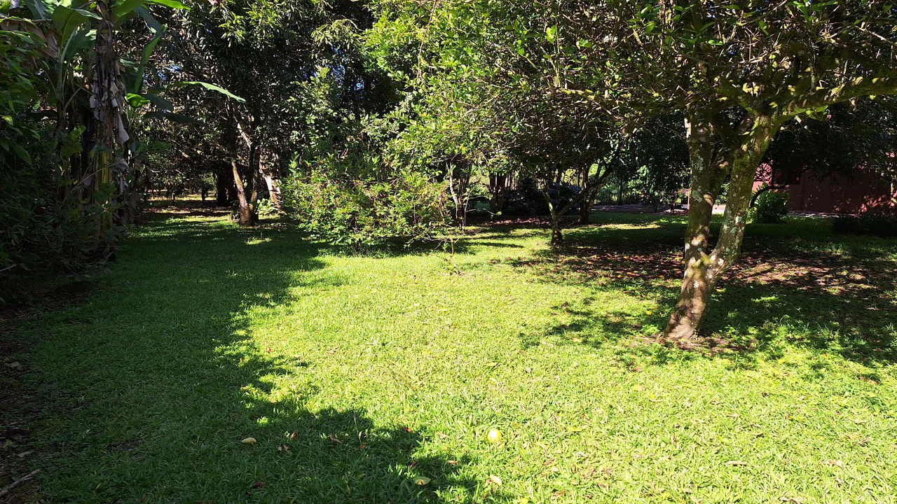 2 Casas en Venta, General Viejo.: Mountain House For Sale in General Viejo - Gallery image 20