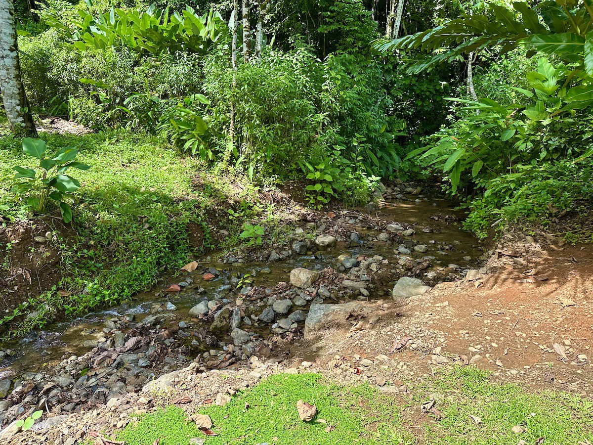 Spectacular Coastal Rainforest Estate Property - Gallery image 18