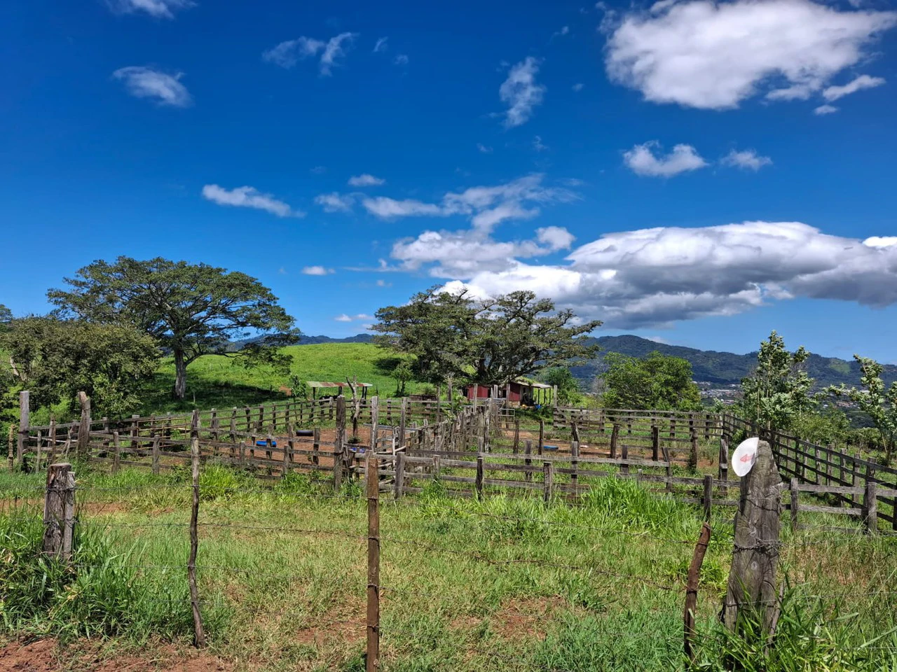 Historic Hilltop Sanctuary: ´Jurassic Park-like´ Development property! - Gallery image 20