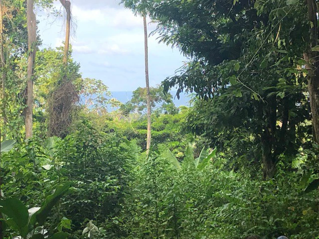 Ocean View Dream Property - Gallery image 2
