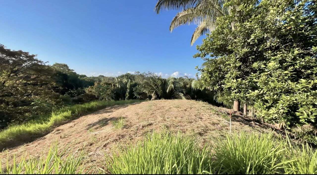 Exclusive Hermosa 1.2 Acre Lot with Panoramic Mountains and Ocean View. - Gallery image 7
