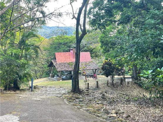 Lote único en Los Reyes - Gallery image 9