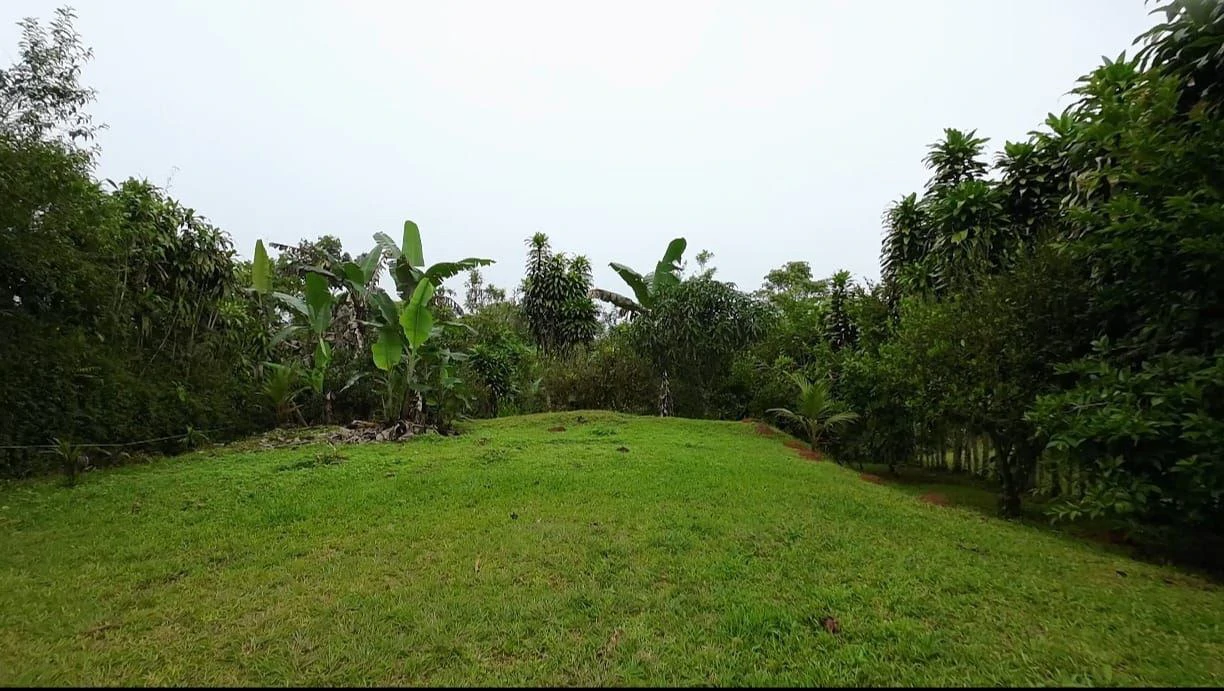 LOTE EN VENTA ALTO SAN JUAN, COSTA RICA: Mountain Home Construction Site For Sale in Barú - Gallery image 3