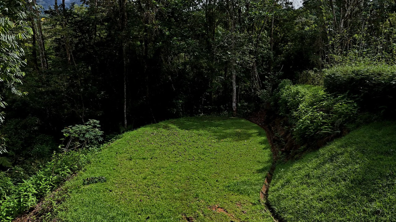 Tropical Paradise in Uvita: 939 sqm Property with Dual Building Sites, 5 Minutes from the Beach - Gallery image 3