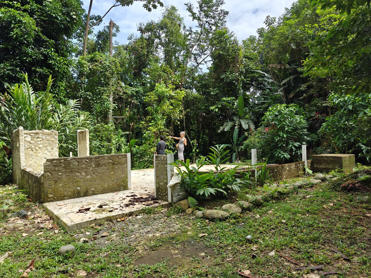 Mountain-Edge Sanctuary with Private Waterfall: 3 Titled Jungle Lots with Platforms, Waterfall, and Income Potential - Gallery image 17