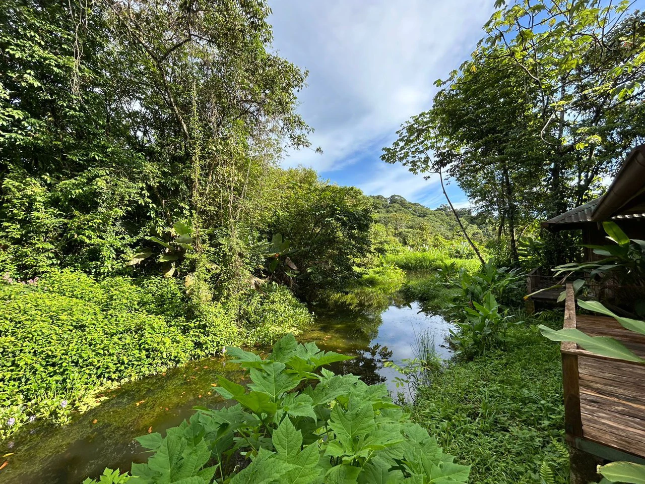 60 Acre Fully Sustainable and Impactful Conservation Initiative Near Golfito: Mountain Multi Unit Building For Sale in Golfito - Gallery image 35