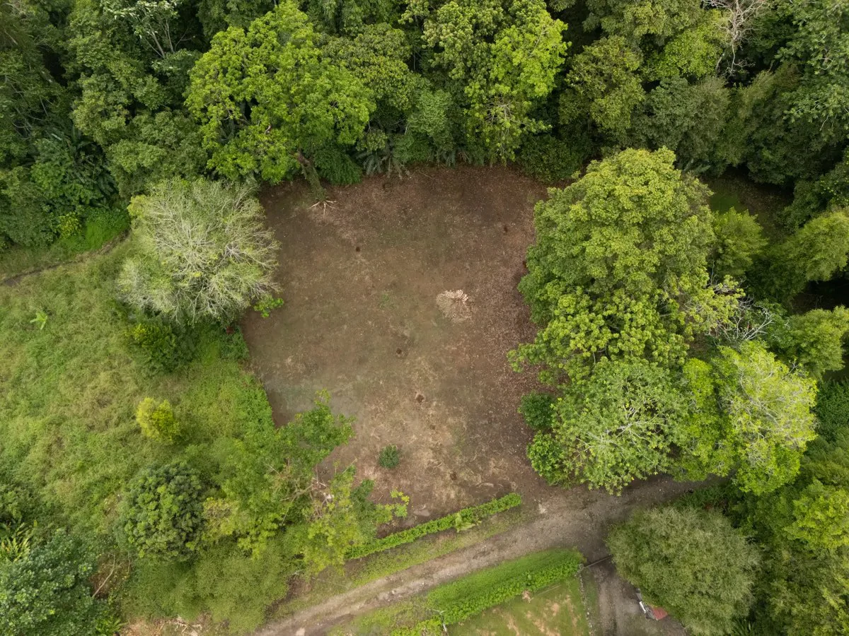 ID 1150: 3000 sqm Titled Land Near Cahuita National Park, Costa Rica - photo 3