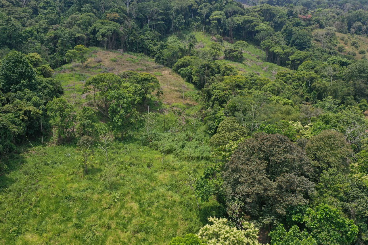 50 Acre Waterfall and River Paradise Above Dominical - Gallery image 53