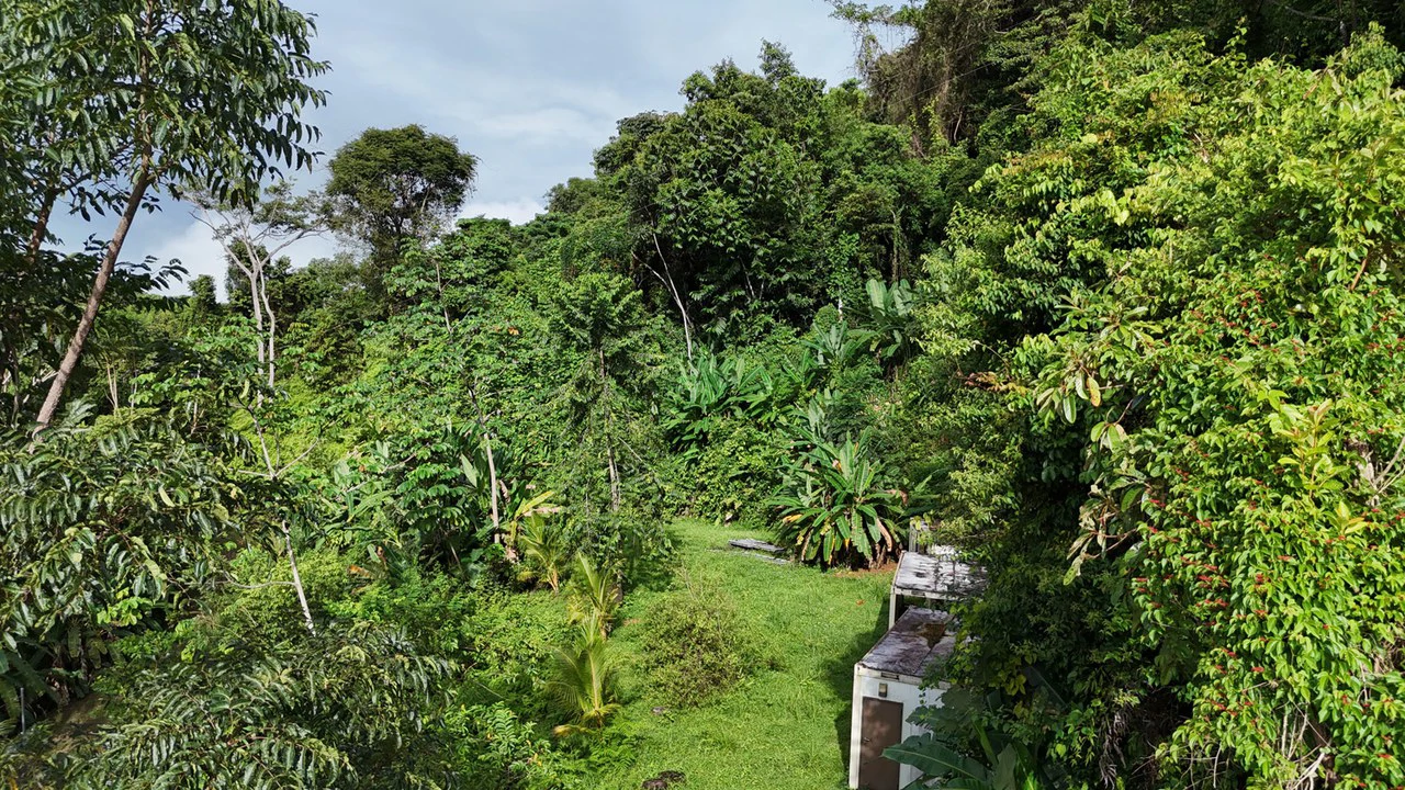 Exceptional Ocean & Mountain View Property in Pinuela Arriba, Costa Rica - Gallery image 12