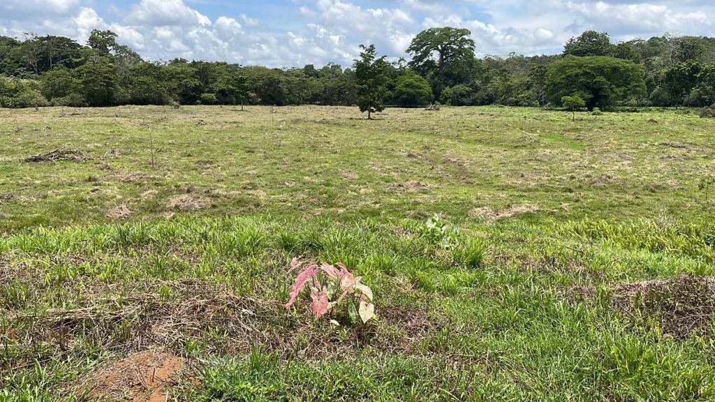 Building potential property for sale, beautiful land in the pure nature close to Bijagua - Gallery image 3