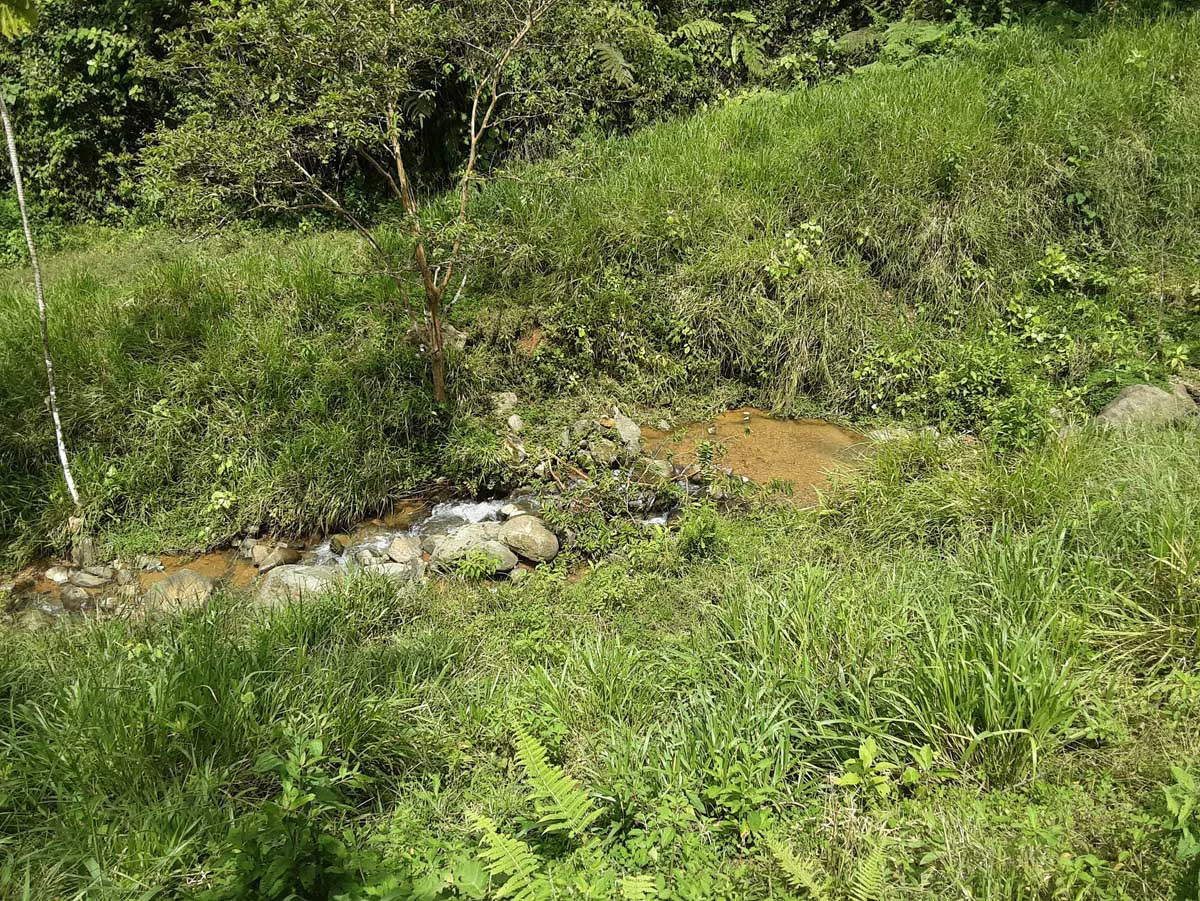 Finca Tesoro Escondido - The Jewel of Uvita - Gallery image 48