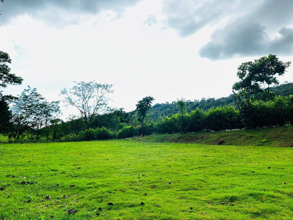 Mountain Home Construction Site For Sale in Convento - photo 7