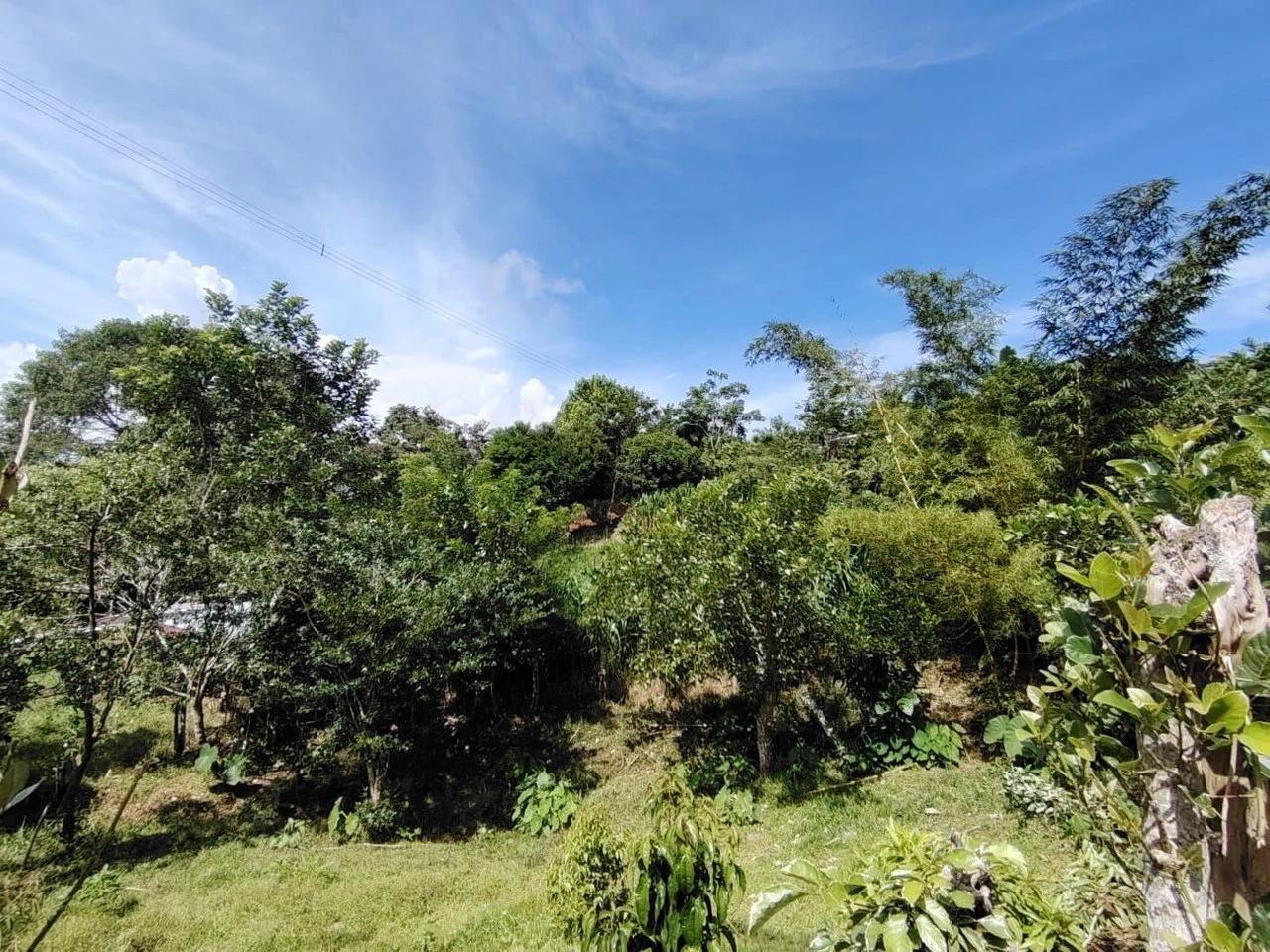 Terreno en San Juan Bosco 1782m2: Mountain and Countryside Home Construction Site For Sale in Daniel Flores - Gallery image 2