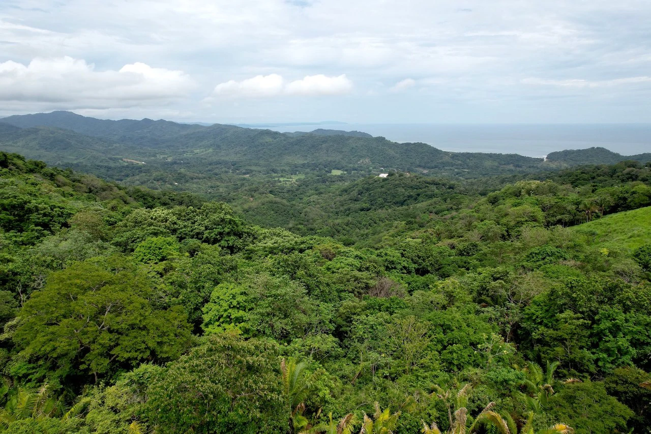 Lotes Paraíso: Spectacular Ocean and Mountain View 5.77 acres Development Land