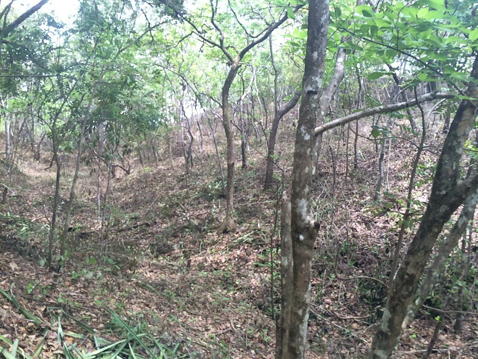 Finca grande: Economic Building property for sale in El Salto, with private access to the surrounding beautiful nature with own river - Gallery image 12